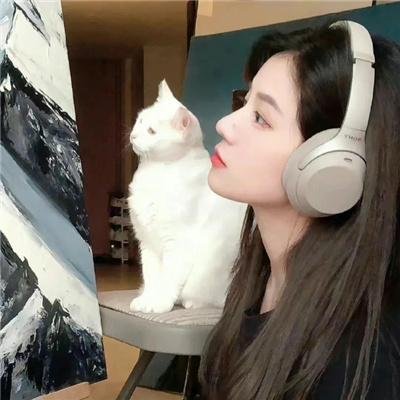 三角窗外是黑夜动画版